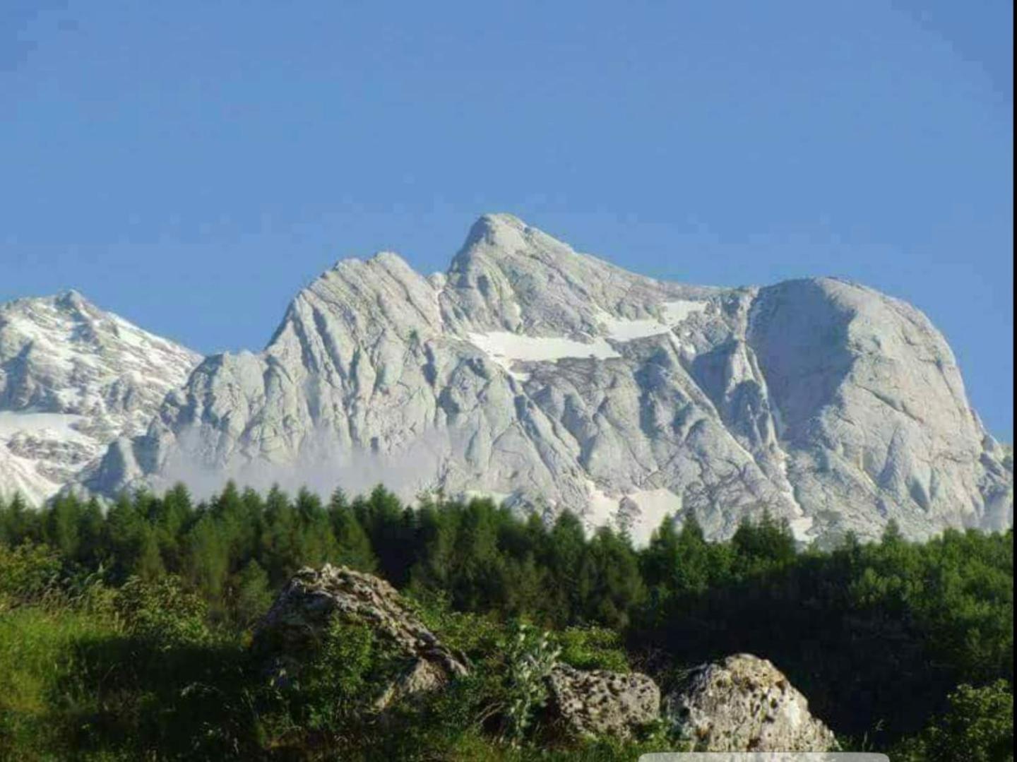 Villa Giuseppe 로세토데글리아브루찌 외부 사진