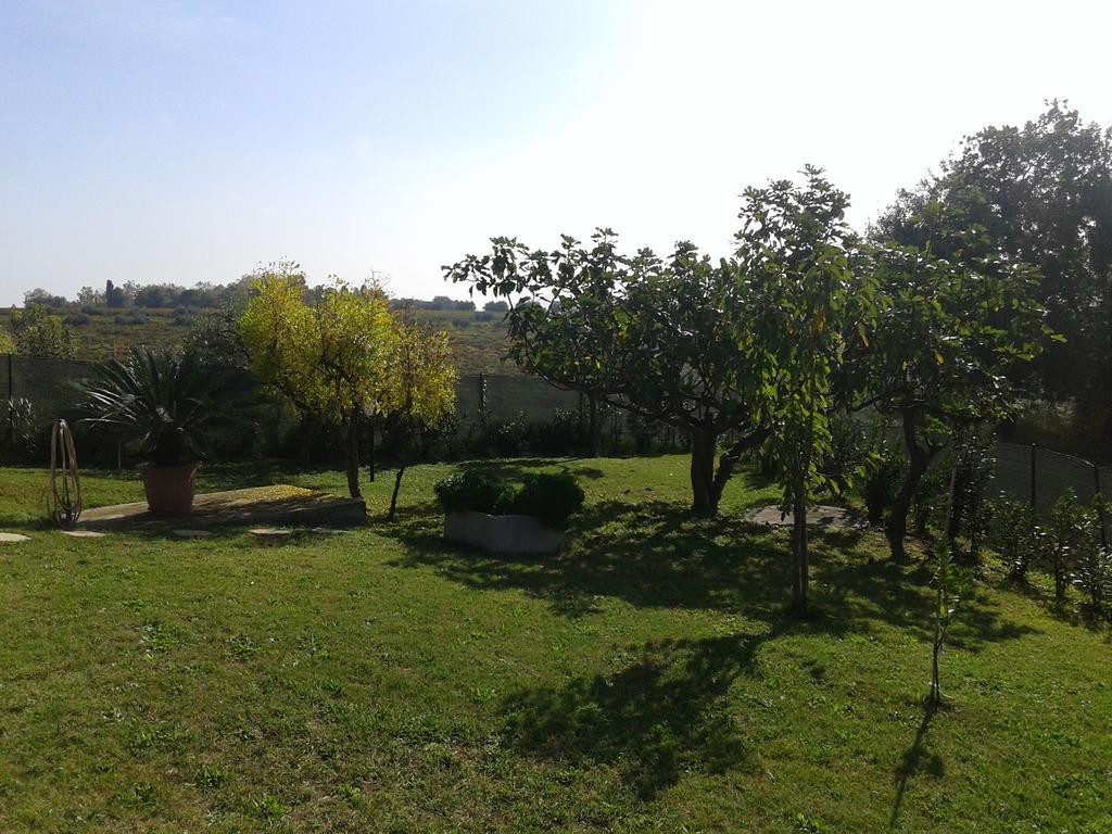 Villa Giuseppe 로세토데글리아브루찌 객실 사진